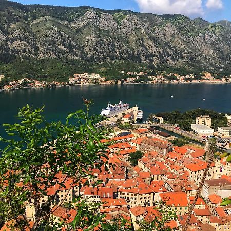 Apartment Maritimo Kotor Exteriör bild